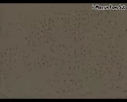 SoldiersAndExplosions1