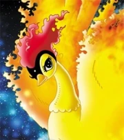 Phoenixvs