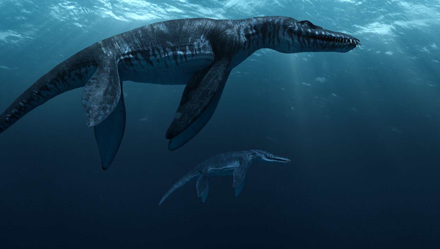 body water animal age body water animal age