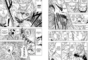 SS2 Trunks SS2 Trunks