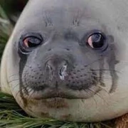 Sadseal Sadseal