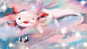 CotTPT Axolotl