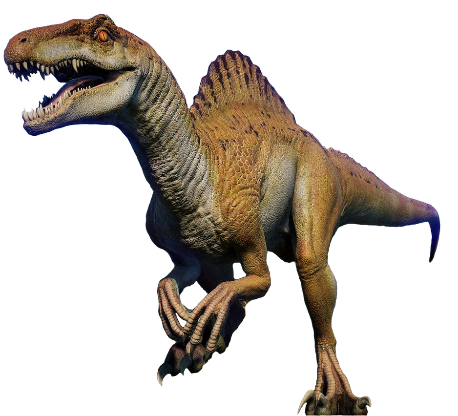 Спинораптор. Спинораптор Jurassic World. Спинораптор Jurassic World Evolution. Jurassic World Evolution 2 Spinoraptor. Jurassic World динозавр-драчун Stegosaurus Spinoraptor. Спинораптор, Jurassic World.