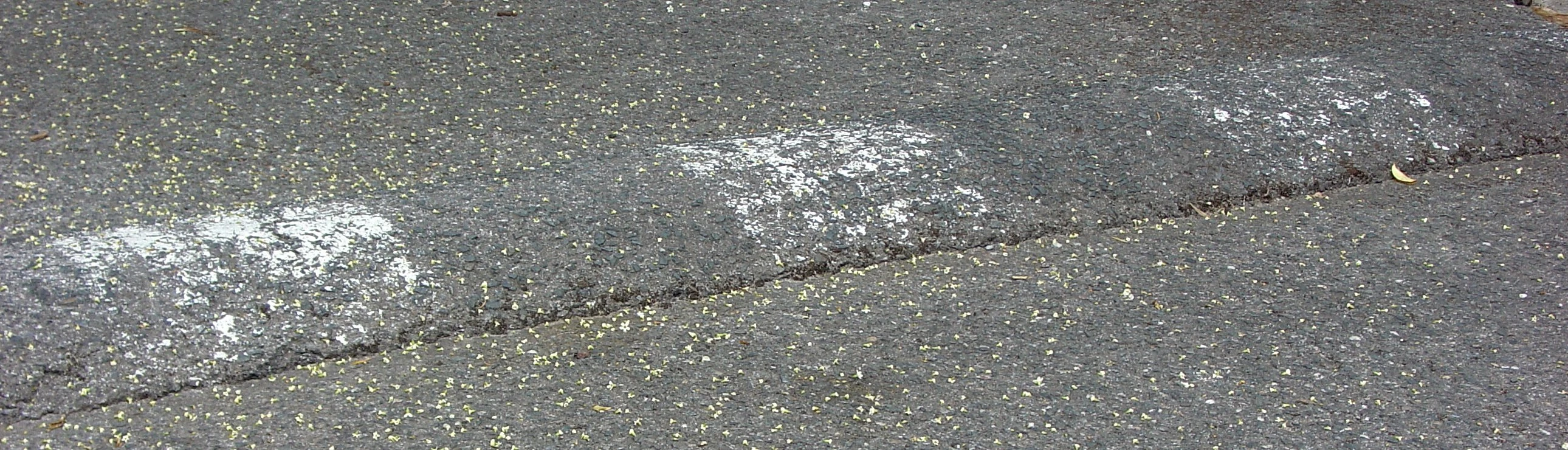 Speed bump (asphalt)