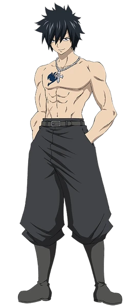 X791 Gray Fullbuster X791 Gray Fullbuster
