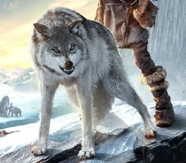 Alpha wolf