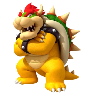 Bowser Bowser