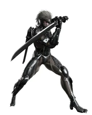 RaidenSS