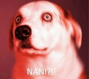 Nanidog Nanidog