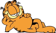 Orangecat
