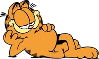 Orangecat