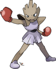 Hitmonchan