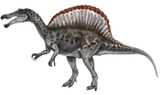 SpinosaurusC