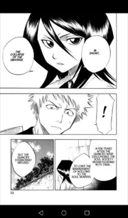 Bleach3