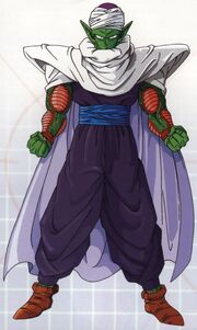 Dragon Ball Z Piccolo costume ver 01-4-05