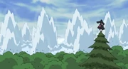 Using bombs on the 3 tails 2
