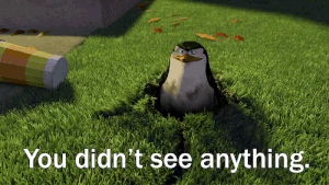 You didn't see anything