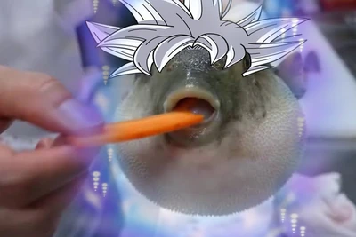 Aeughltra puffer Aeughltra puffer