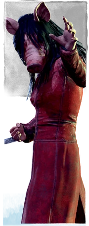 DBD-Pig