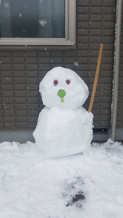 Masada Snowman