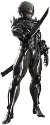 RaidenMGR