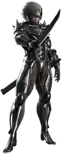 RaidenMGR RaidenMGR