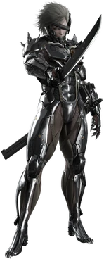 RaidenMGR
