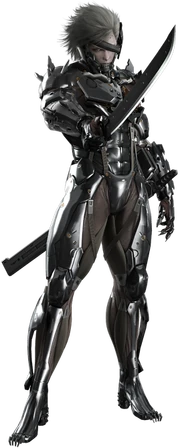 RaidenMGR