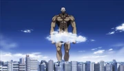 Beefcakesize3