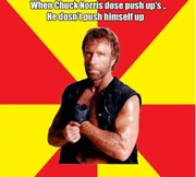 Chucknorrispushups
