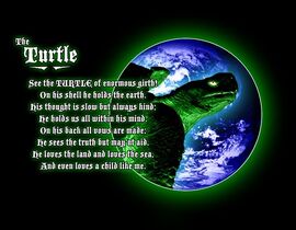 Maturin the Turtle