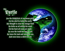 Maturin the Turtle Maturin the Turtle