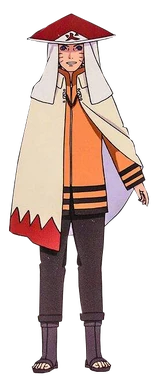 Naruto in boruto adult hokage