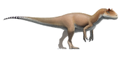 Allosaurus Fred Wierum