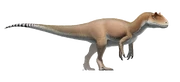 Allosaurus Fred Wierum