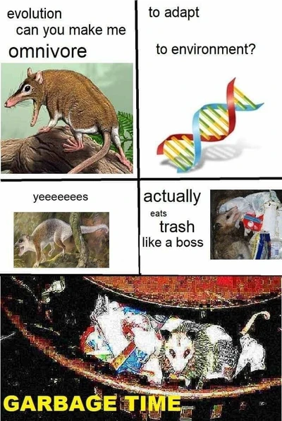001 (1)ghgjghhbnh