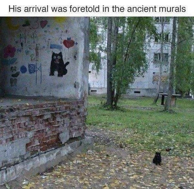 005xscdvfbgnh