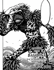Bambina capture