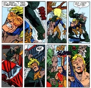 Boostergold3