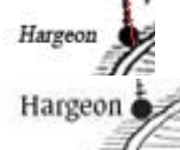 Halgeon Comparison Halgeon Comparison