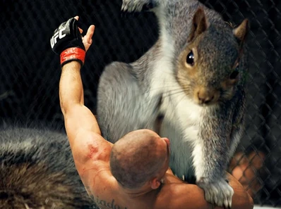 Squirrel-photoshop-battle-39-58ac2f2392f25 700
