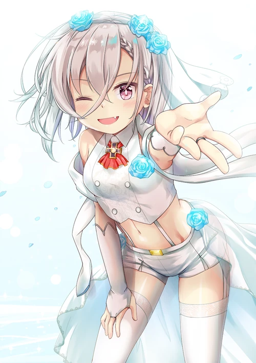 Z1 Leberecht Maass 5