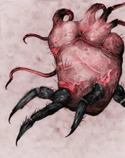 Scp-058