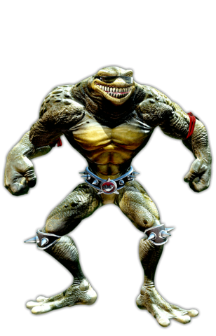 Rash CharBio
