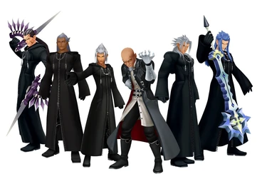 The True Organization XIII The True Organization XIII