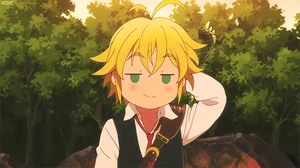 Melidas shrug