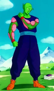 Piccolo88