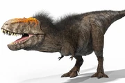 Trex