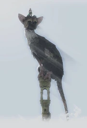 Trico