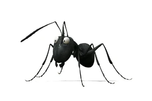Minuscule-image-3-1-